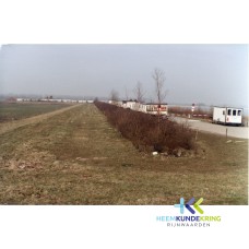 Byland 1984 Coll. HKR F0000021